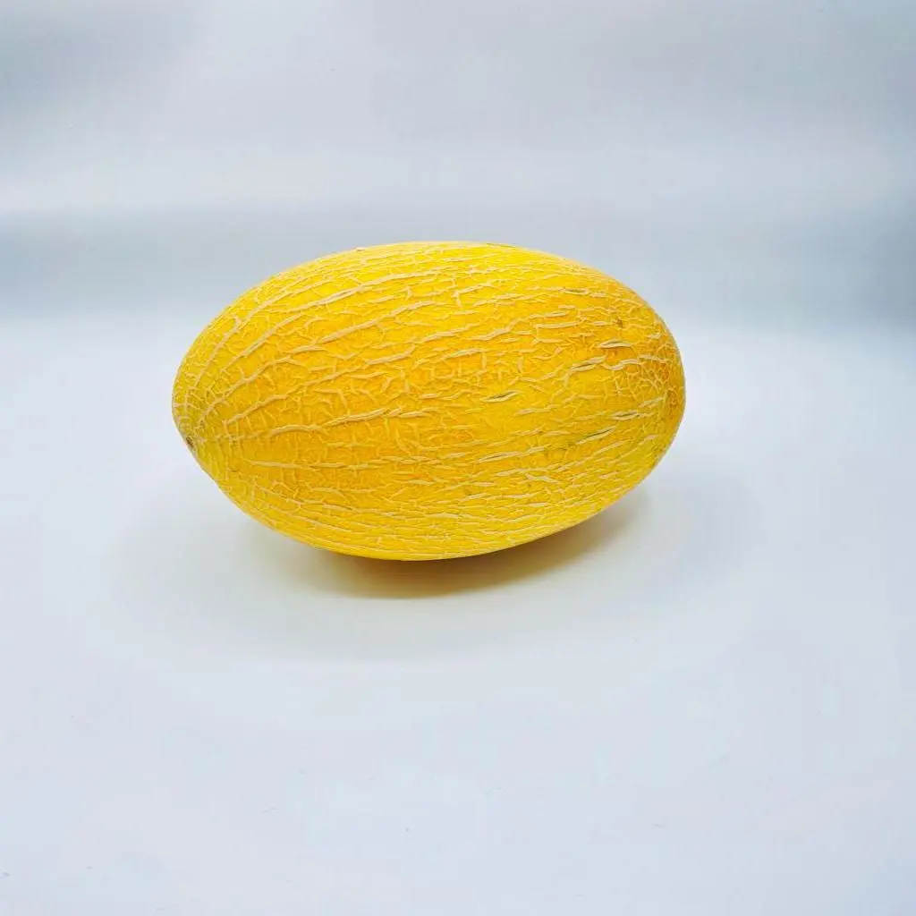 Jordanian Cantaloupe